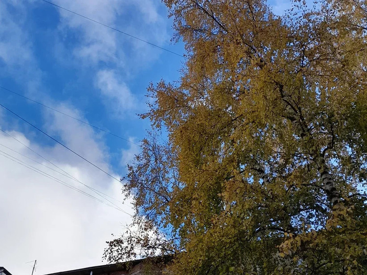 В Новгородской области в ближайшие два дня станет прохладнее