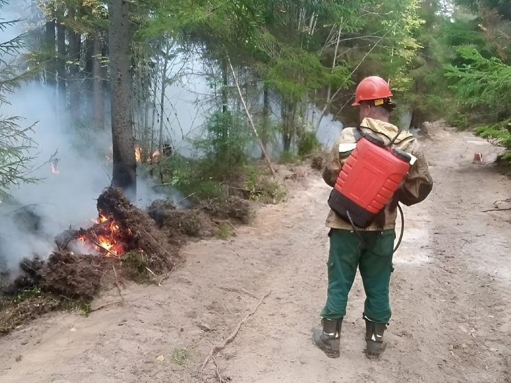 Большинство пожаров в Поморье возникает из-за неосторожности северян