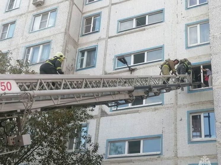 На пожаре в Луховицах из огня удалось спасти пятерых детей