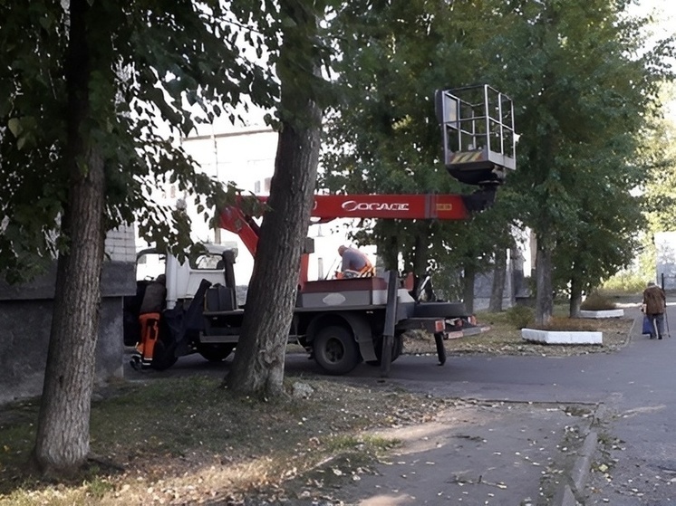 На территории школ Северного округа стало светлее