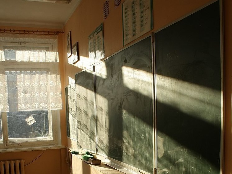 Учеников школы в Красноярске обязали выпрашивать туалетную бумагу у охранника