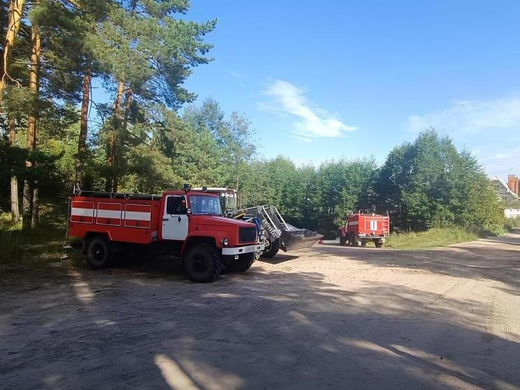 В нижегородских лесах сохраняется высокий класс пожароопасности