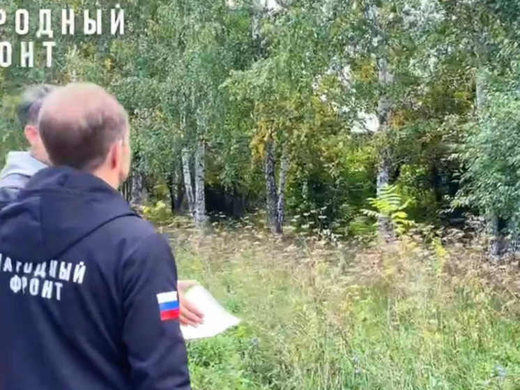 Опасное растение заполонило парк имени Ленина в Барнауле