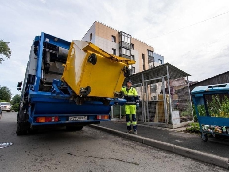 На переработку в Карелии отправили вторсырье общим весом в 380 слонов