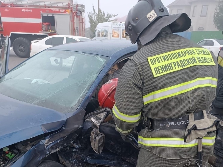 Пожарные в Ленобласти за сутки потушили 10 пожаров