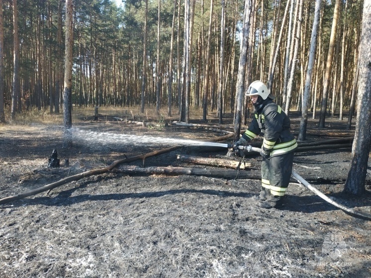 Во Владимирской области продолжают тушить природный пожар