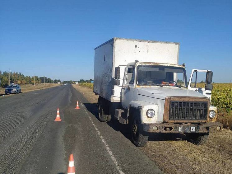 ГАЗ сбил рабочего-дорожника в Марксовском районе