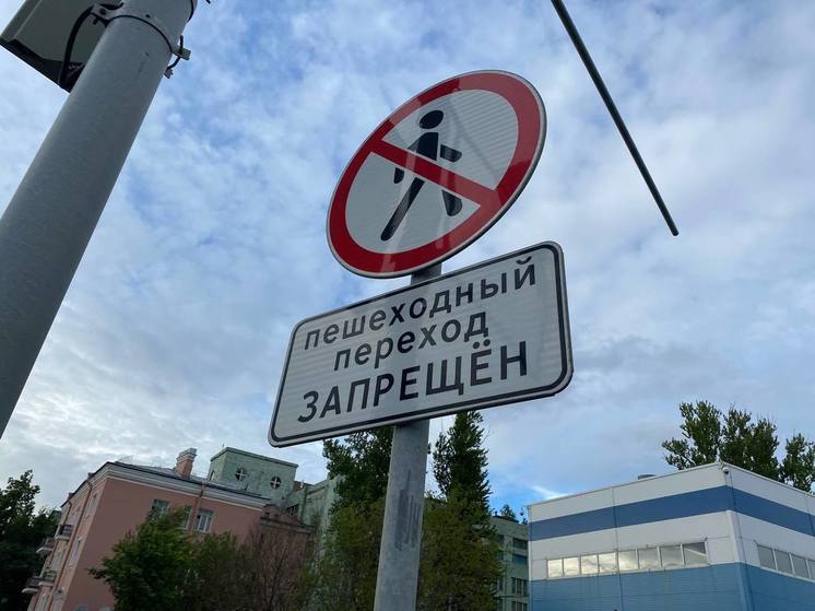 В Великом Новгороде ограничат движение пешеходов по Большой Московской улице