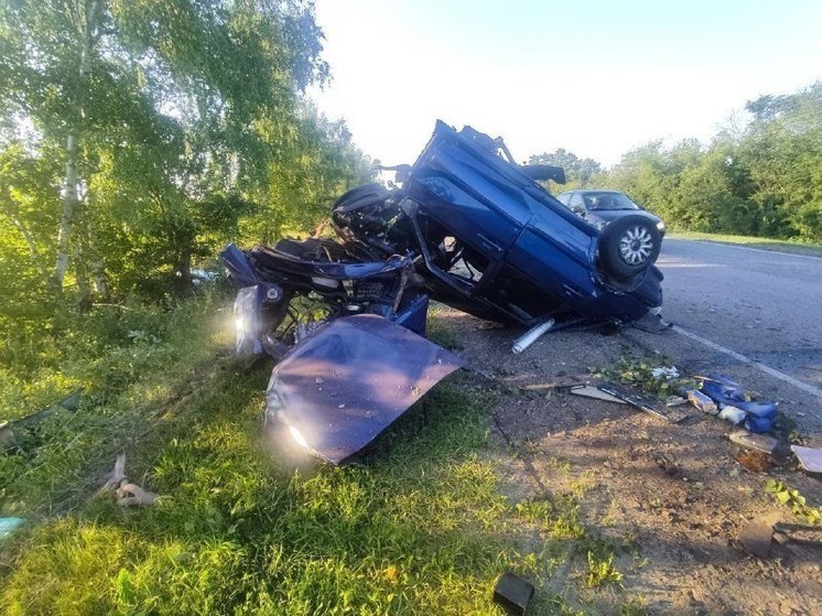 В этом году под колесами авто в Воронежской области погибли 50 воронежцев