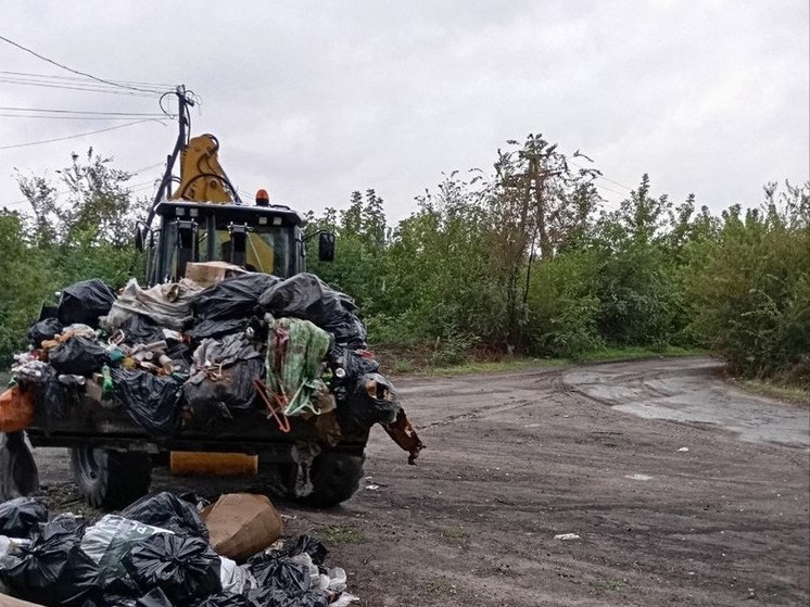 В селе Раденск Алешкинского округа ликвидировали стихийную свалку