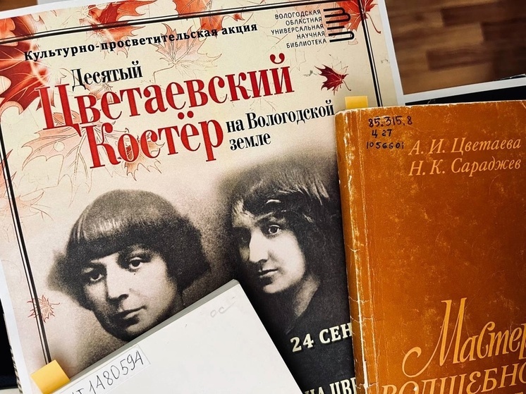 Книжная выставка в честь писателя Анастасии Цветаевой откроется в Вологде (12+)