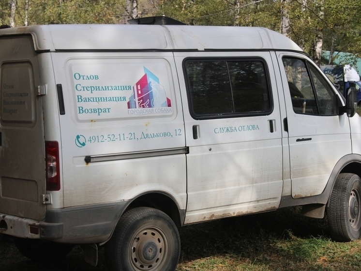 В Мемориальном парке частично отловили бездомных собак