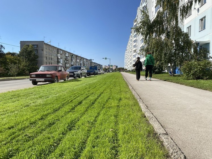 В Новосибирске на улице Динамовцев уложили новый газон