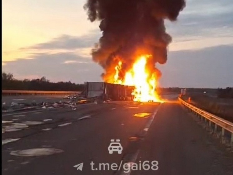 В Тамбовской области на трассе загорелась грузовая фура