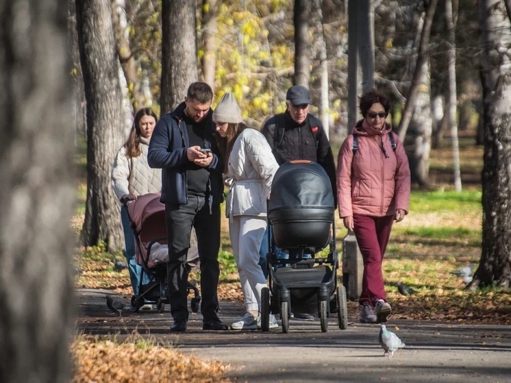 В Томской области внучка перевела мошенникам 200 тысяч рублей с телефона родной бабушки