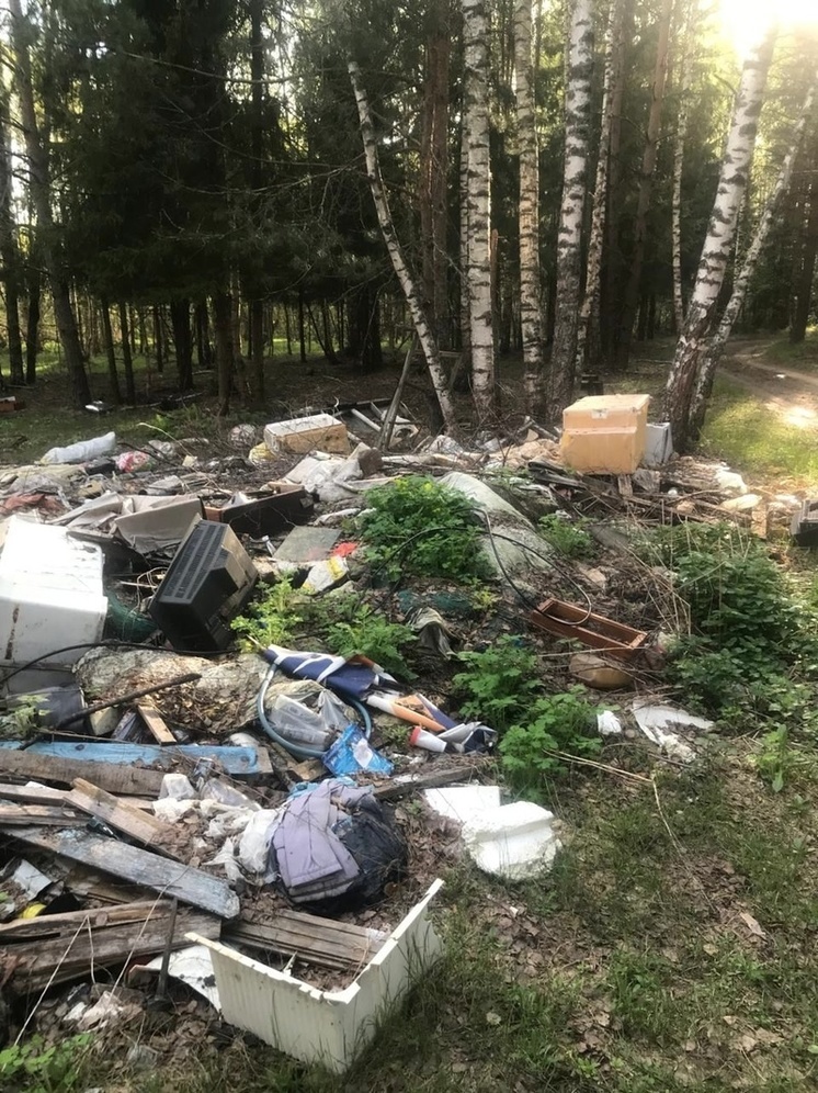 Прокуратура добивается ликвидации свалки в Судогодском районе