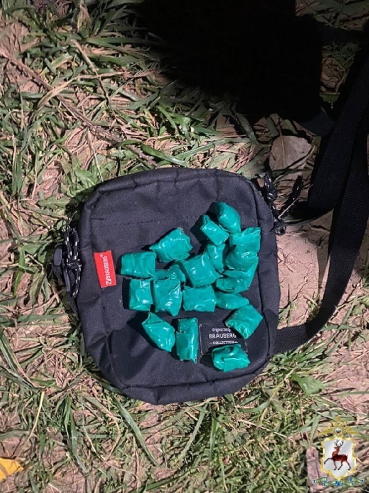 Крупную партию наркотиков изъяли полицейские у нижегородца