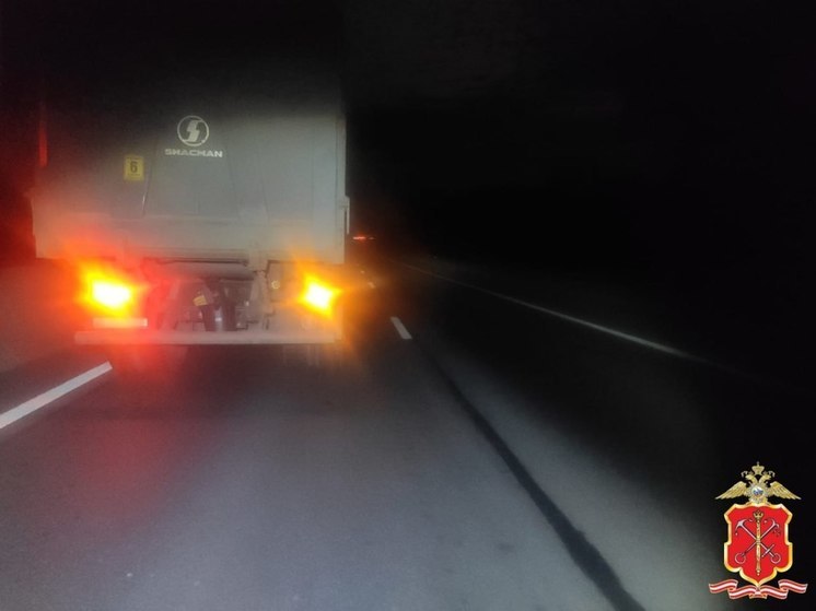 Во Всеволожском районе грузовик ночью сбил пешехода без документов