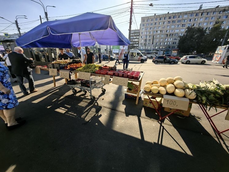 В Петербурге закрыли более 30 незаконных торговых точек на улице