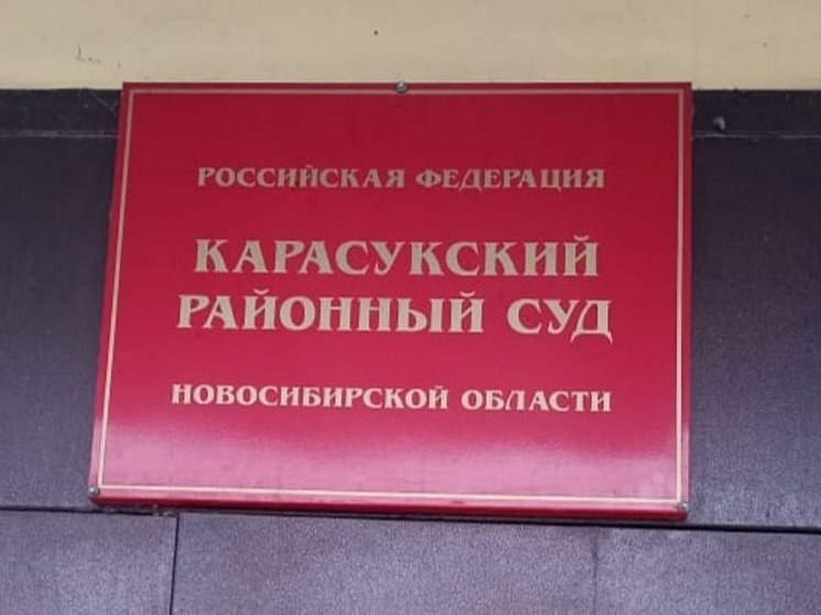 В Новосибирске гражданку Узбекистана поместили под стражу за контрабанду наркотиков