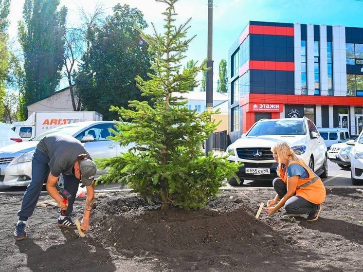 В Липецке стартовала осенняя высадка зелёных насаждений