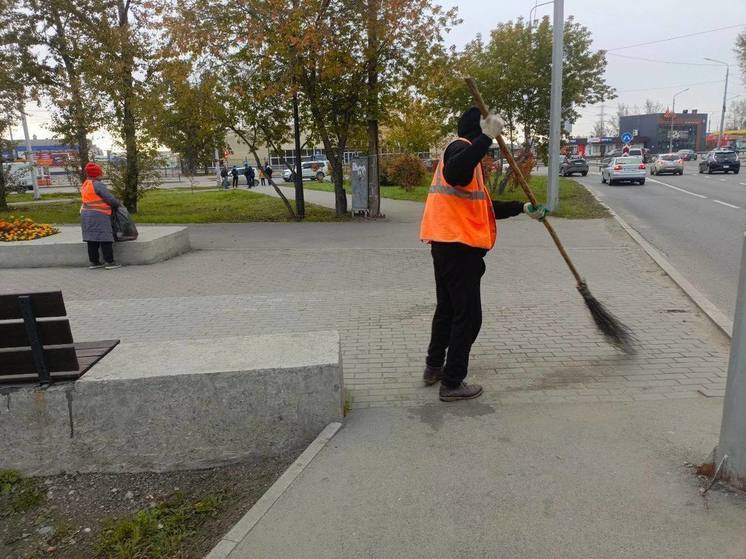 Более 100 человек ежедневно трудятся над чистотой общественных пространств в Иркутске