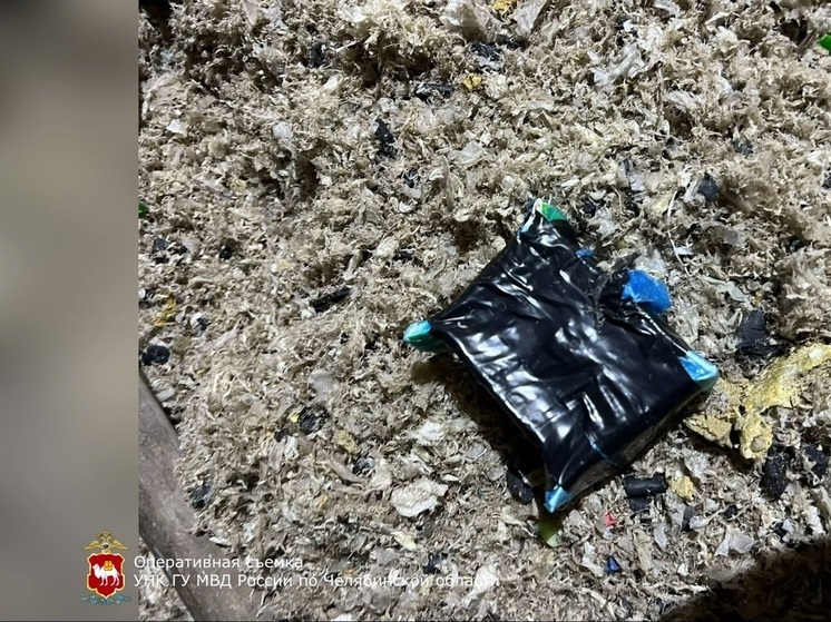 В челябинскую колонию заключенным пытались провезти наркотики
