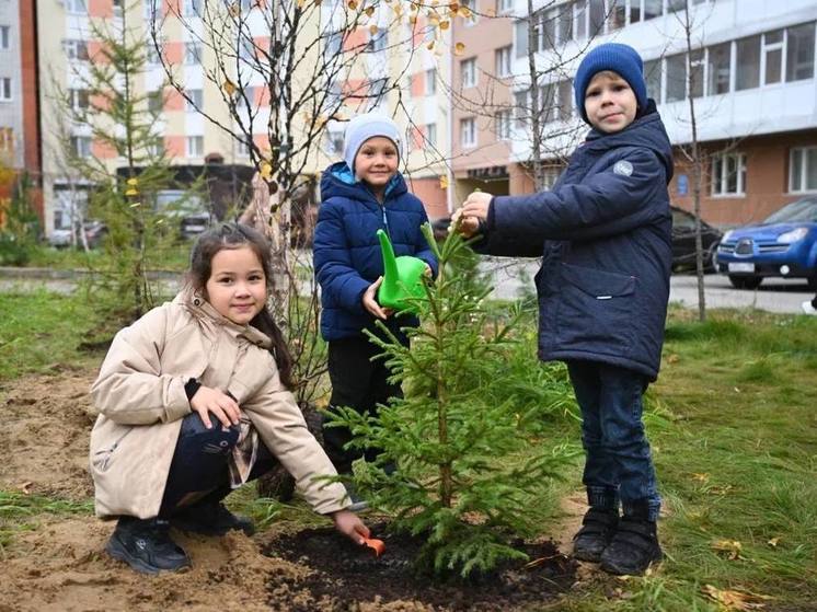 Ямальцы от мала до велика вышли на посадку деревьев