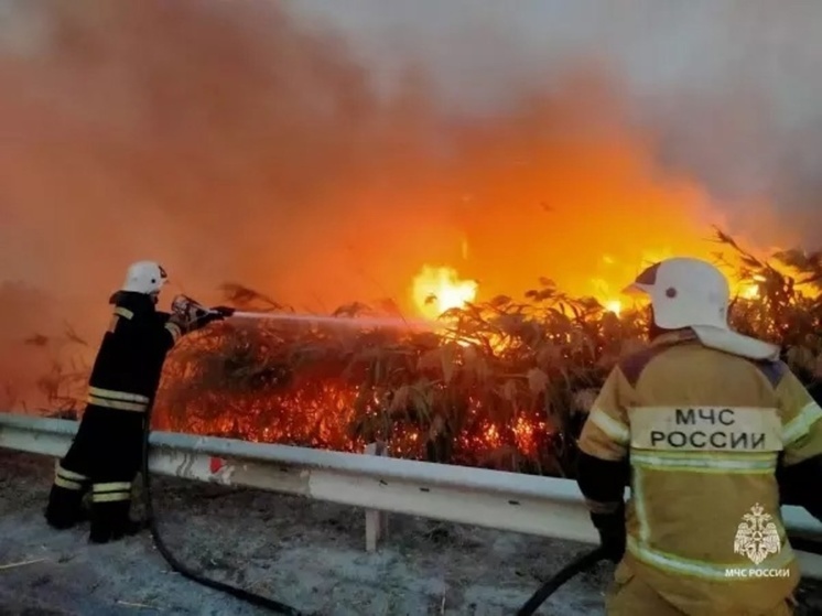 В Тацинском районе разгорелся крупный ландшафтный пожар