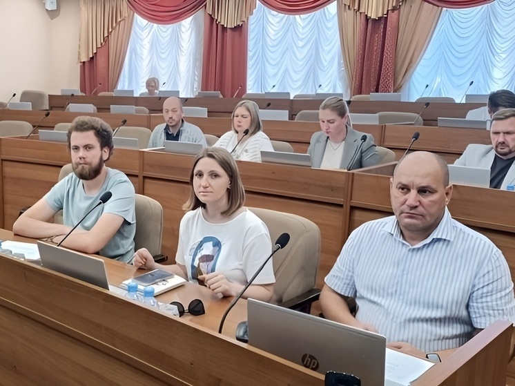«Малиновка» на пути к комфорту: депутаты Тамбова обсудили развитие микрорайона