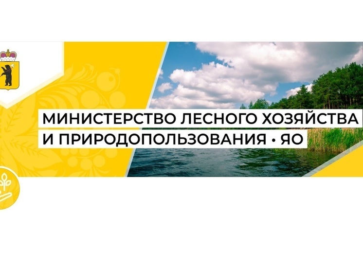 В Ярославле начали очередную проверку «пахучего предприятия