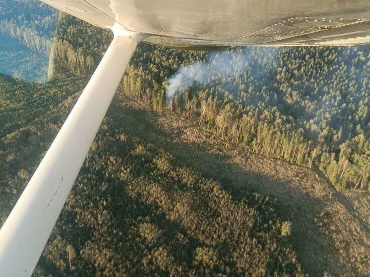 Торфяной пожар потушили огнеборцы В Раменском округе