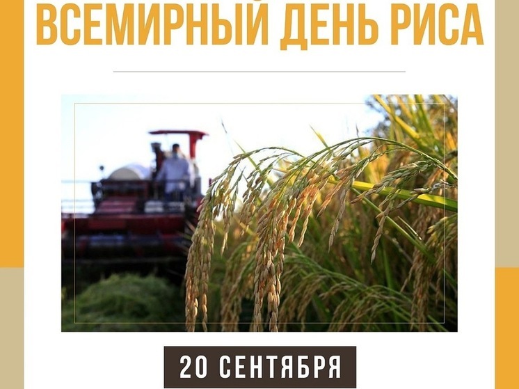 В Калмыкии рис – это больше, чем просто злак