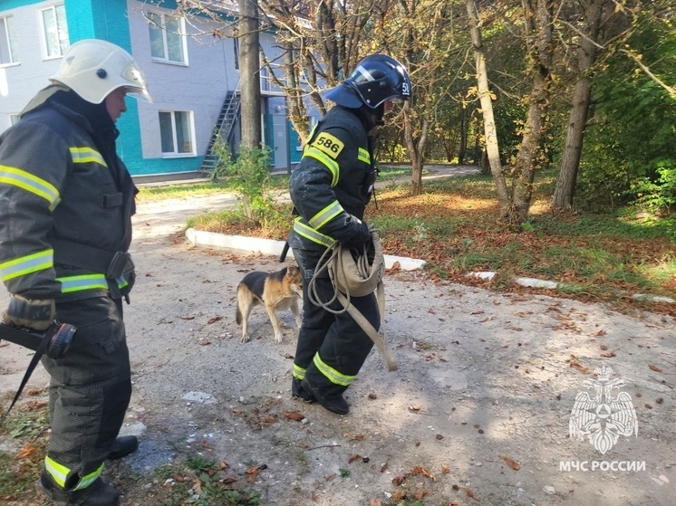 Тульские сотрудники МЧС вызволили застрявшую собаку из подвала