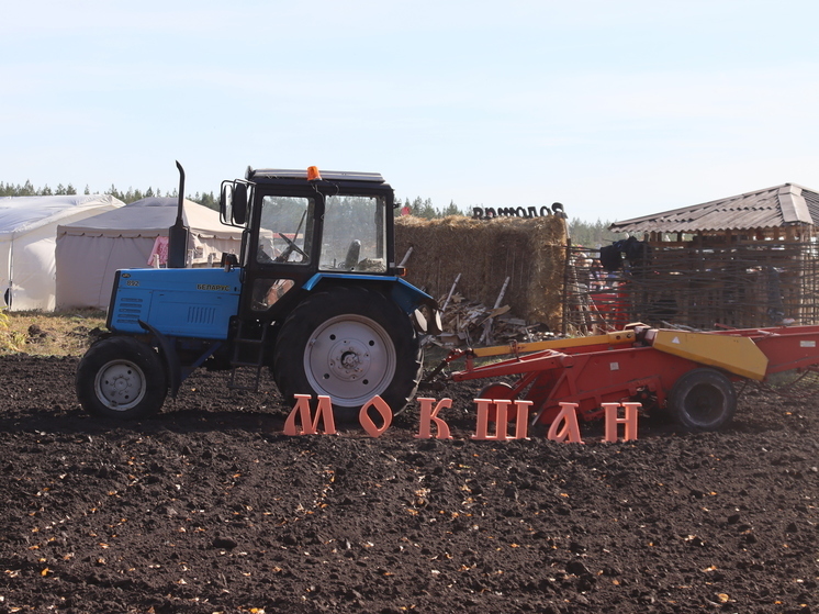 Международный форум «Золотая пашня» проходит в Мокшане
