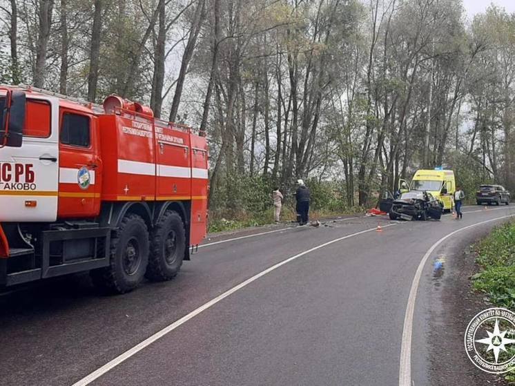 В дорожной аварии в Башкирии пострадали два человека