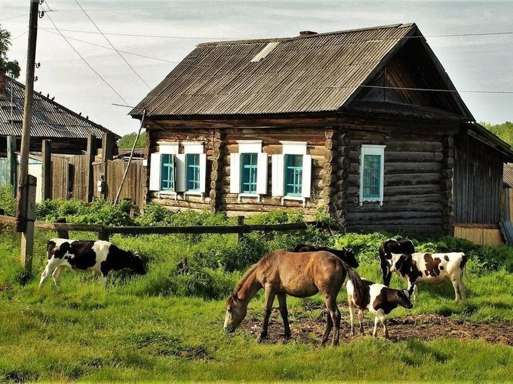  Раскрыта серия краж в Боградском районе