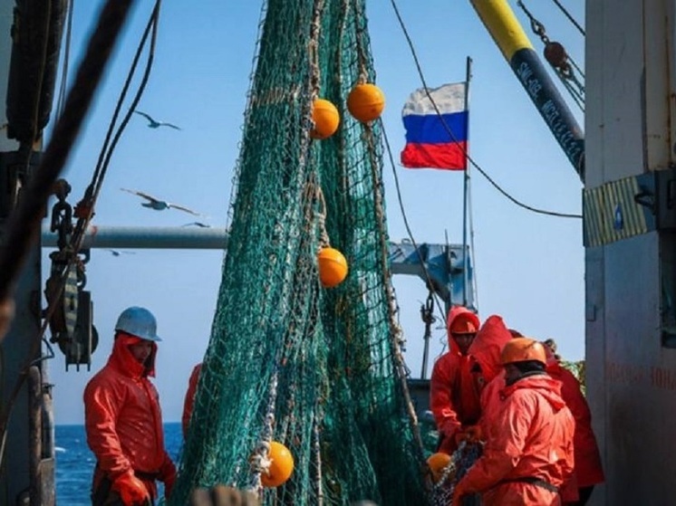 Больше 350 тысяч тонн рыбы выловили в Северном бассейне