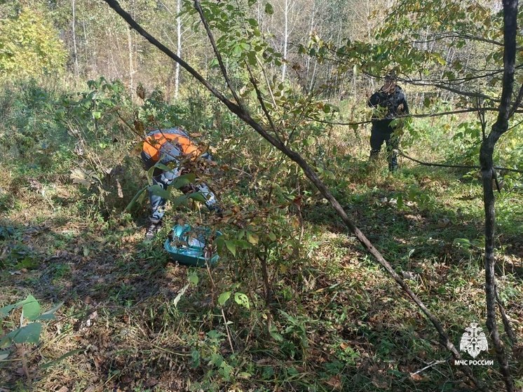 Женщина пропала пока собирала грибы в Хабаровском крае