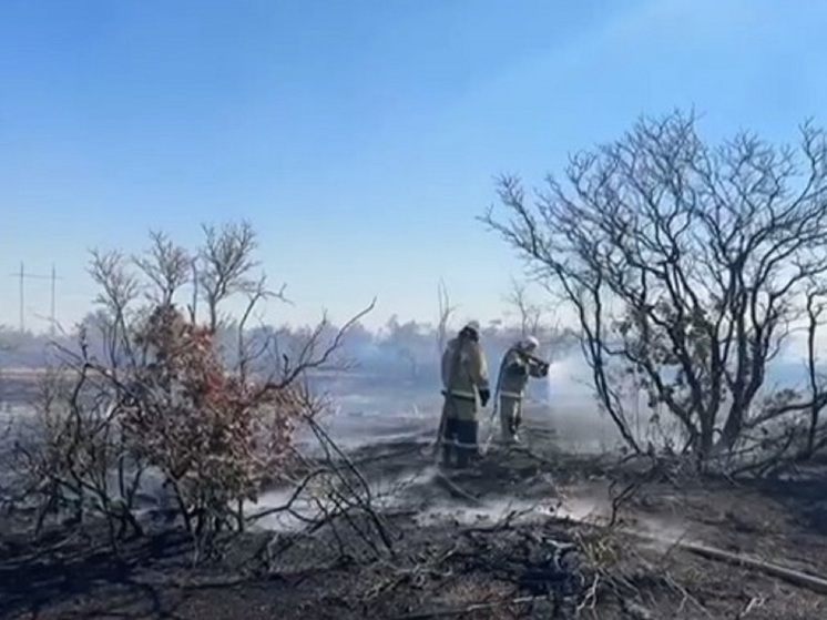 В пригороде Элисты горела степь