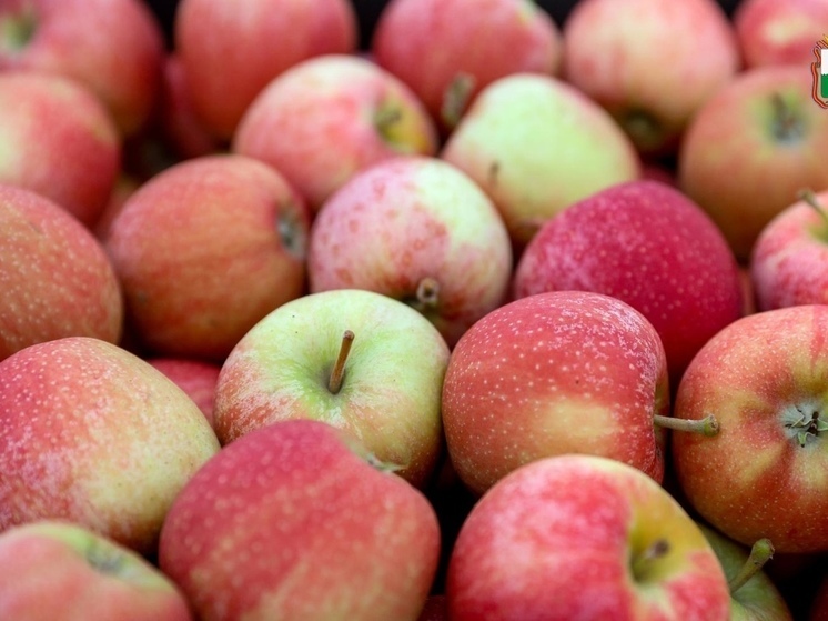 В НАО рассмотрят вопрос строительства фруктохранилищ