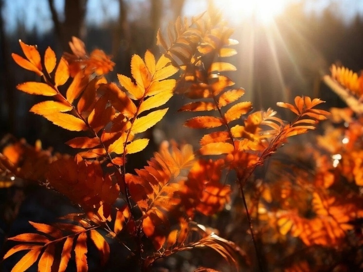 В НАО облачно с прояснениями