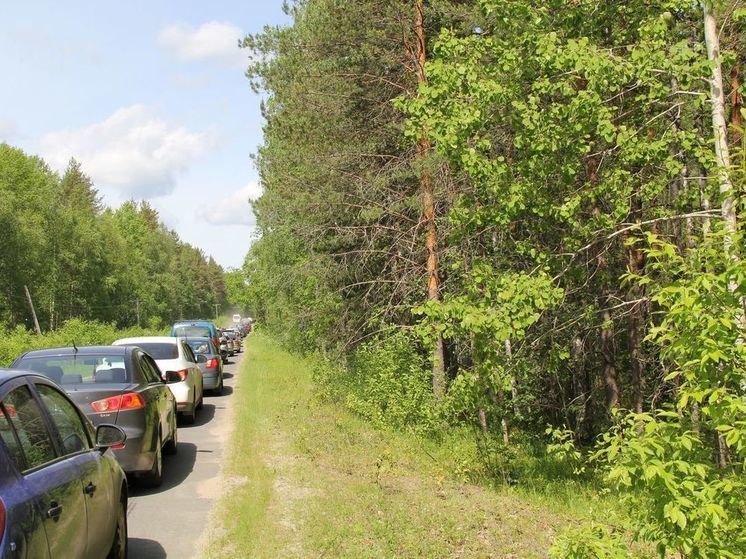 Водитель в Кировском районе погиб врезавшись в дерево