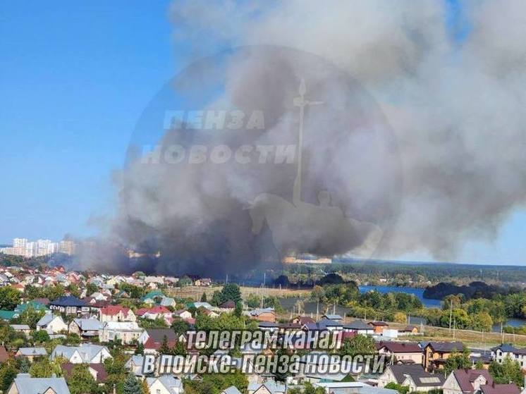 В Пензе в районе улицы Рузляева произошел крупный пожар