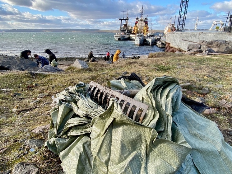 Волонтерам вновь пришлось убирать мусор на береговой линии в Североморске