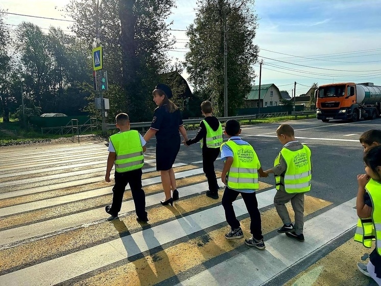 В школах Новгородской области прошли уроки по безопасности дорожного движения