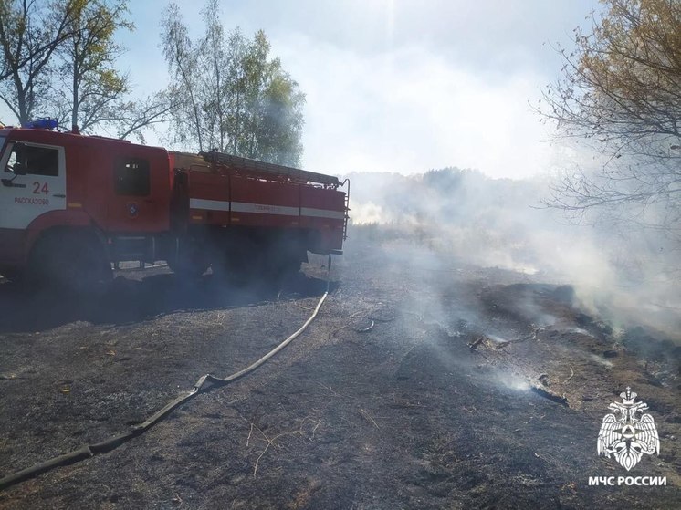 В Тамбовской области сгорел сарай и девять тонн сена