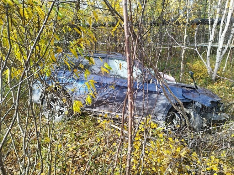 В воскресенье на Ямале произошло 11 ДТП