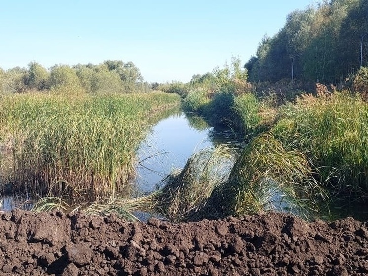 Две сотни воронежцев вышли на ликвидацию дамбы на реке Усманка