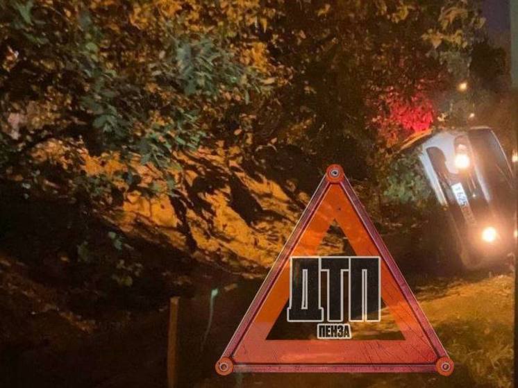 Автомобиль перевернулся из-за кошки в Пензе